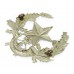 Cameronians (Scottish Rifles) Cap Badge