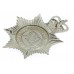 Avon and Somerset Constabulary Helmet Plate - Queen's Crown