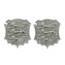 Pair of Hastings Borough Police Collar Badges