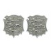 Pair of Hastings Borough Police Collar Badges