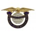 Air League of the British Empire Enamelled Lapel Badge