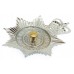 Northamptonshire Police Enamelled Helmet Plate - Queen's Crown