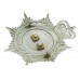Southend -on- Sea Constabulary Helmet Plate - Queen's Crown