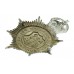 Birkenhead Borough Police Helmet Plate - King's Crown
