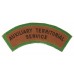 Auxiliary Territorial Service (AUXILIARY TERRITORIAL/SERVICE) WW2 Printed Shoulder Title