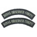 Pair of Royal Observer Corps (ROYAL OBSERVER CORPS) Cloth Shoulder Titles
