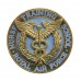 Royal Air Force (R.A.F.) Nurse Training School Badge