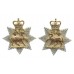Pair of Queen's (Royal West Surrey) Regiment Anodised (Staybrite) Collar Badges