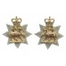 Pair of Queen's (Royal West Surrey) Regiment Anodised (Staybrite) Collar Badges