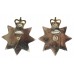 Pair of Queen's (Royal West Surrey) Regiment Anodised (Staybrite) Collar Badges