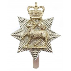 The Queen's (Royal West Surrey) Regiment Anodised (Staybrite) Cap Badge