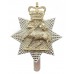 The Queen's (Royal West Surrey) Regiment Anodised (Staybrite) Cap Badge