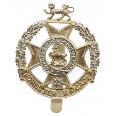 Forester Brigade Anodised (Staybrite) Cap Badge