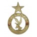 Ghana Police White Metal Cap Badge 