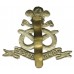North Staffordshire Regiment Cap Badge