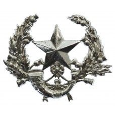 Cameronians (Scottish Rifles) Anodised (Staybrite) Cap Badge