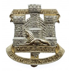 Devon & Dorset Regiment Anodised (Staybrite) Cap Badge