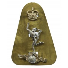 Royal Corps of Signals Anodised (Staybrite) Cap Badge - Queen's Crown 