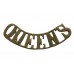 Queen's Royal West Surrey Regiment (QUEEN'S) Shoulder Title