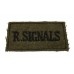 Royal Corps of Signals (R.SIGNALS)  Cloth Slip On Shoulder Title