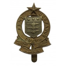 Pakistan Army Ordnance Corps Cap Badge
