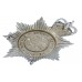 Dyfed - Powys Heddlu Police Enamelled Helmet Plate - Queen's Crown