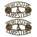 Pair of Worcestershire & Sherwood Foresters (WORCESTERS/&/FORESTERS) Anodised (Staybrite) Shoulder Titles