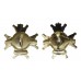 Pair of Notts & Derby Regiment (Sherwood Foresters) Anodised (Staybrite) Collar Badge