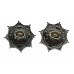 Pair of Police Service Northern Ireland Collar Badges