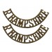 Pair of Royal Hampshire Regiment (R.HAMPSHIRE) Officer's Shoulder Titles