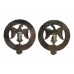 Pair of 3rd Bn. Royal Anglian Regiment Anodised (Staybrite) Collar Badges