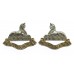 Pair of 2nd Bn. Royal Anglian Regiment Anodised (Staybrite) Collar Badges