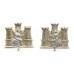 Pair of 1st Bn. Royal Anglian Regiment Anodised (Staybrite) Collar Badges