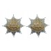 Pair of Royal Anglian Regiment Anodised (Staybrite) Collar Badges