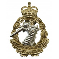 Royal Australian Army Dental Corps Anodised (Staybrite) Hat Badge