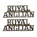 Pair of Royal Anglian (ROYAL/ANGLIAN) Anodised (Staybrite) Shoulder Titles