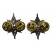 Pair of Worcestershire & Sherwood Foresters Anodised (Staybrite) Collar Badges