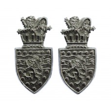 Pair of Devon & Cornwall Constabulary Collar Badges