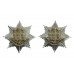 Pair of Royal Anglian Regiment Anodised (Staybrite) Collar Badges