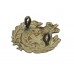 Victorian Northamptonshire Regiment Collar Badge 