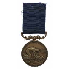 Liverpool Shipwreck & Humane Society Marine Medal (Bronze) - 