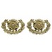 Pair of Royal Hampshire Regiment Anodised (Staybrite) Collar Badges