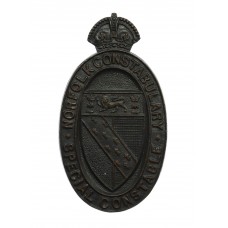 Norfolk Constabulary Special Constable Lapel Badge - King's Crown