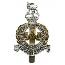 Devonshire Territorials Anodised (Staybrite) Cap Badge