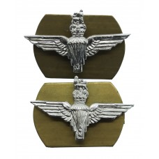 Pair of Parachute Regiment Anodised (Staybrite) Collar Badges