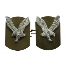 Pair of Army Air Corps Anodised (Staybrite) Collar Badges