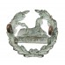 Victorian Gloucestershire Regiment Large Bi-Metal Back Cap Badge