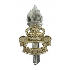 Royal Army Educational Corps (R.A.E.C.) Anodised (Staybrite) Cap Badge