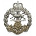 Royal Hampshire Regiment Anodised (Staybrite) Cap Badge 