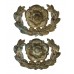 Pair of Hampshire Regiment Collar Badges 
